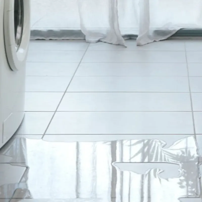 Appliance Leak Cleanup in Elmhurst, IL