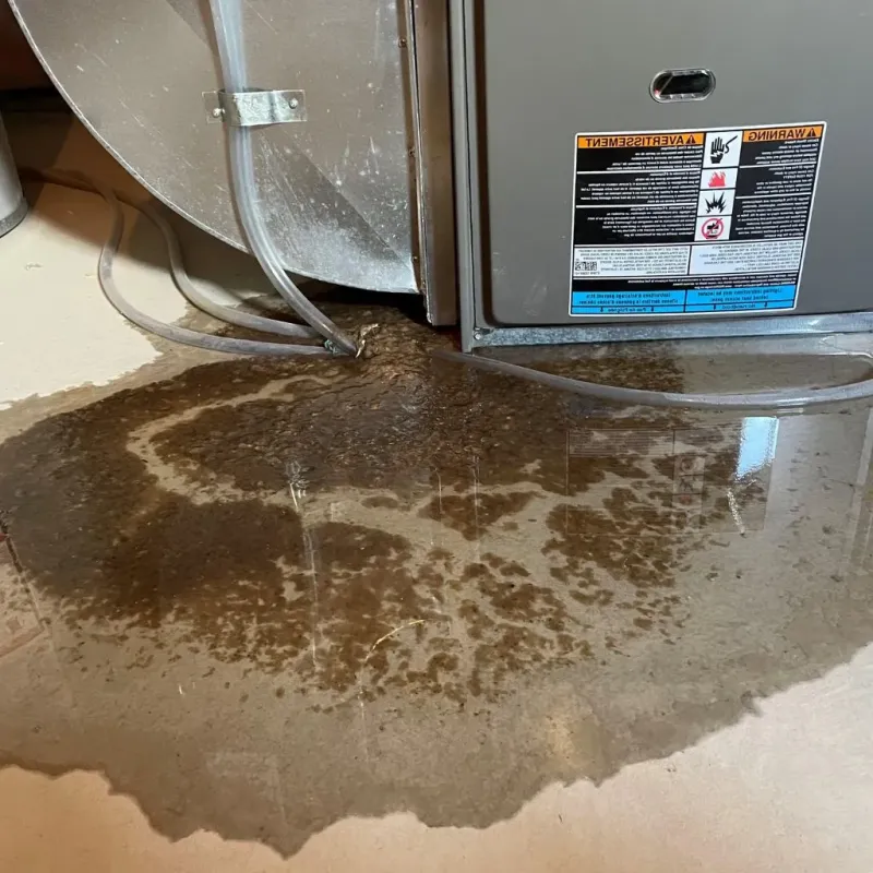 Pipe Burst and Leak Restoration in Elmhurst, IL