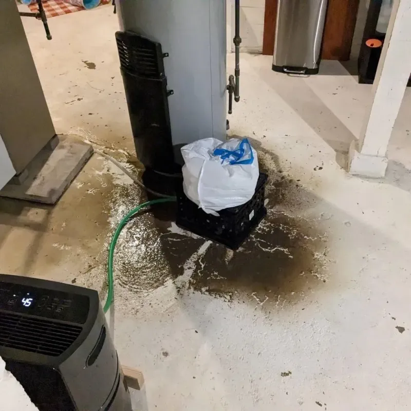Sewage Backup Cleanup Service in Elmhurst, IL